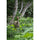 Tamron 50-400mm f/4.5-6.3 Di III VC VXD Lens (Nikon Z)