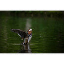 Tamron 50-400mm f/4.5-6.3 Di III VC VXD Lens (Nikon Z)