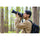 Tamron 50-300mm f/4.5-6.3 Di III VC VXD Objectif (Sony E)