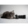 Tamron 50-300mm f/4.5-6.3 Di III VC VXD Objectif (Sony E)