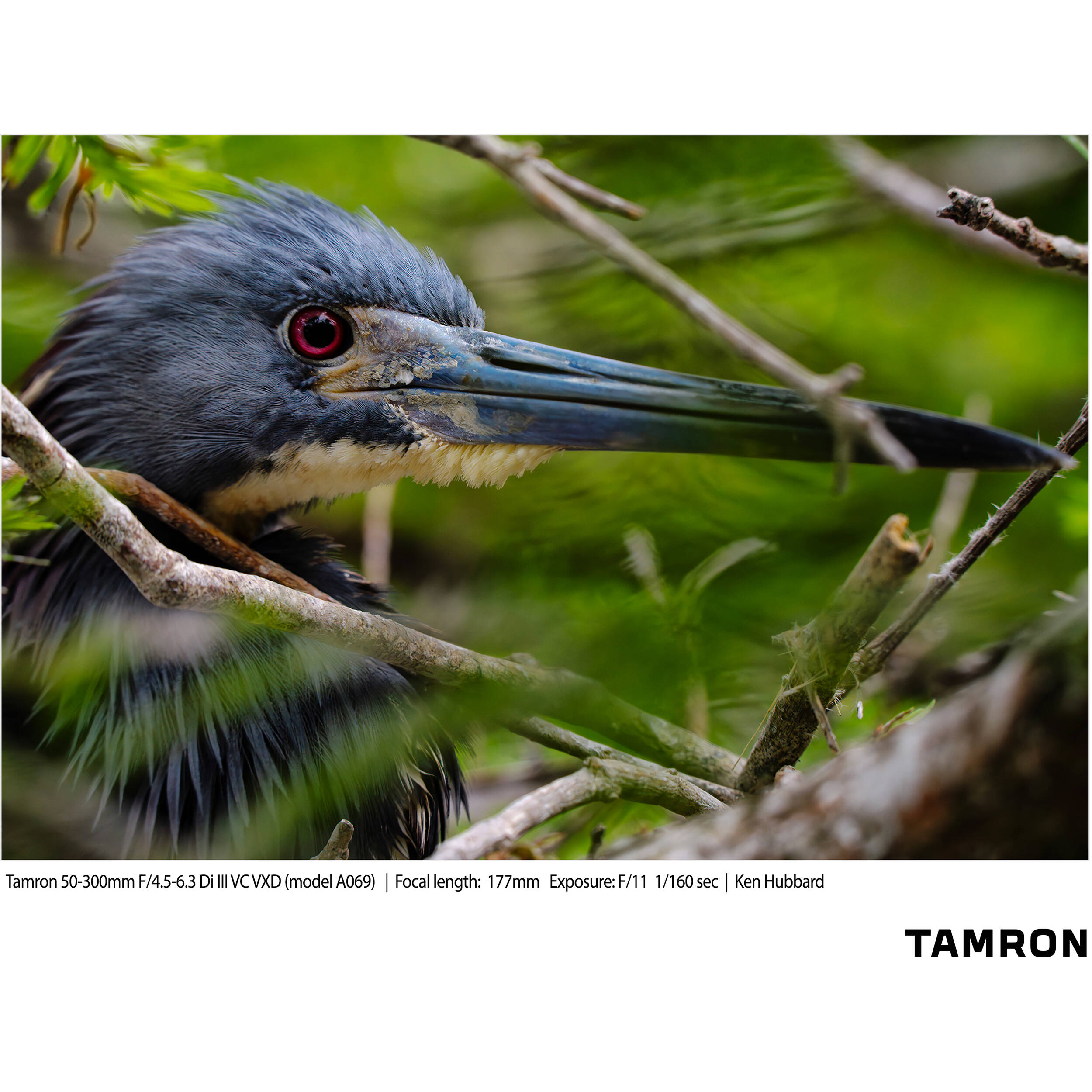 Tamron 50-300mm f/4.5-6.3 Di III VC VXD Objectif (Sony E)