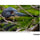 Tamron 50-300mm f/4.5-6.3 Di III VC VXD Objectif (Sony E)