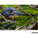 Tamron 50-300mm f/4.5-6.3 Di III VC VXD Objectif (Sony E)