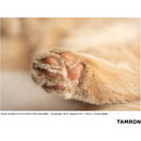 Tamron 50-300mm f/4.5-6.3 Di III VC VXD Objectif (Sony E)