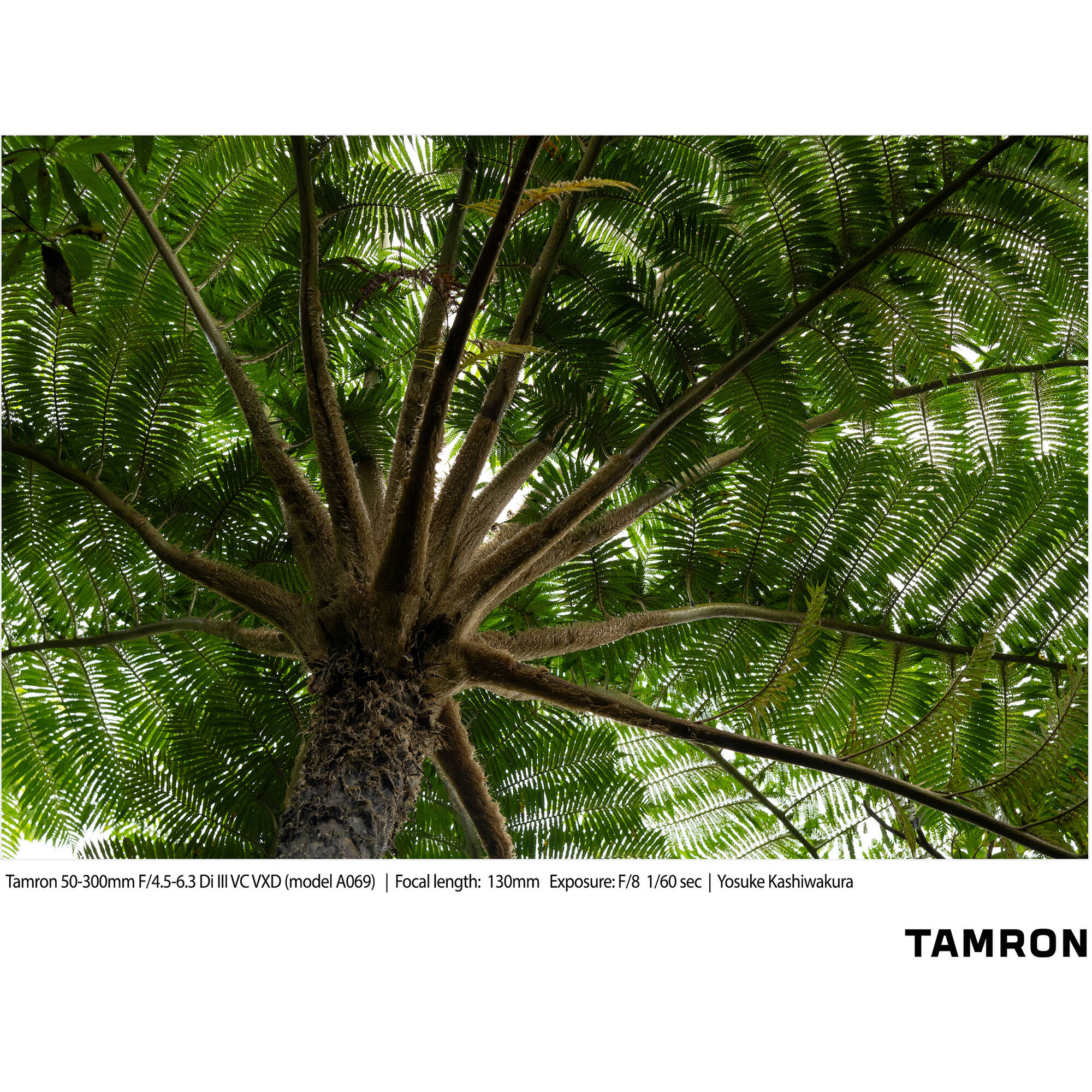 Tamron 50-300mm f/4.5-6.3 Di III VC VXD Objectif (Sony E)