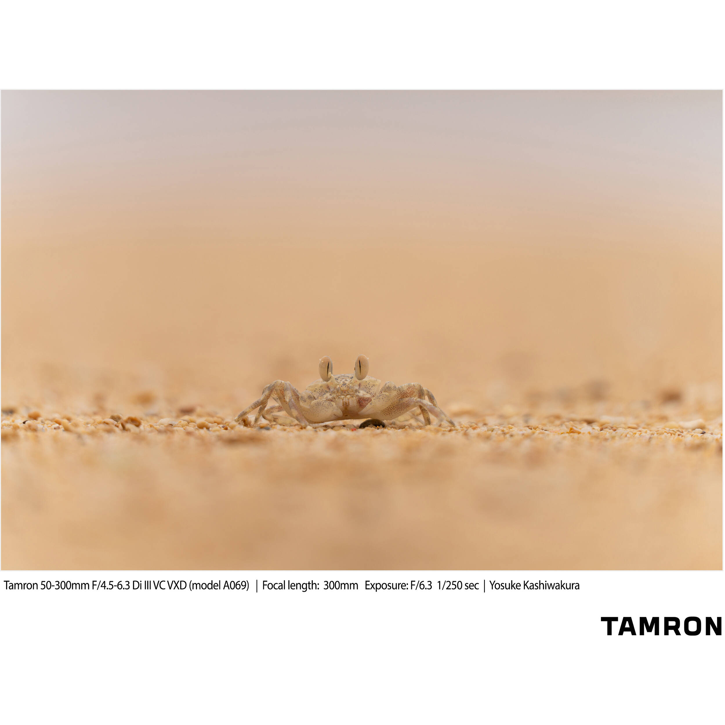 Tamron 50-300mm f/4.5-6.3 Di III VC VXD Objectif (Sony E)