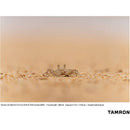 Tamron 50-300mm f/4.5-6.3 Di III VC VXD Objectif (Sony E)