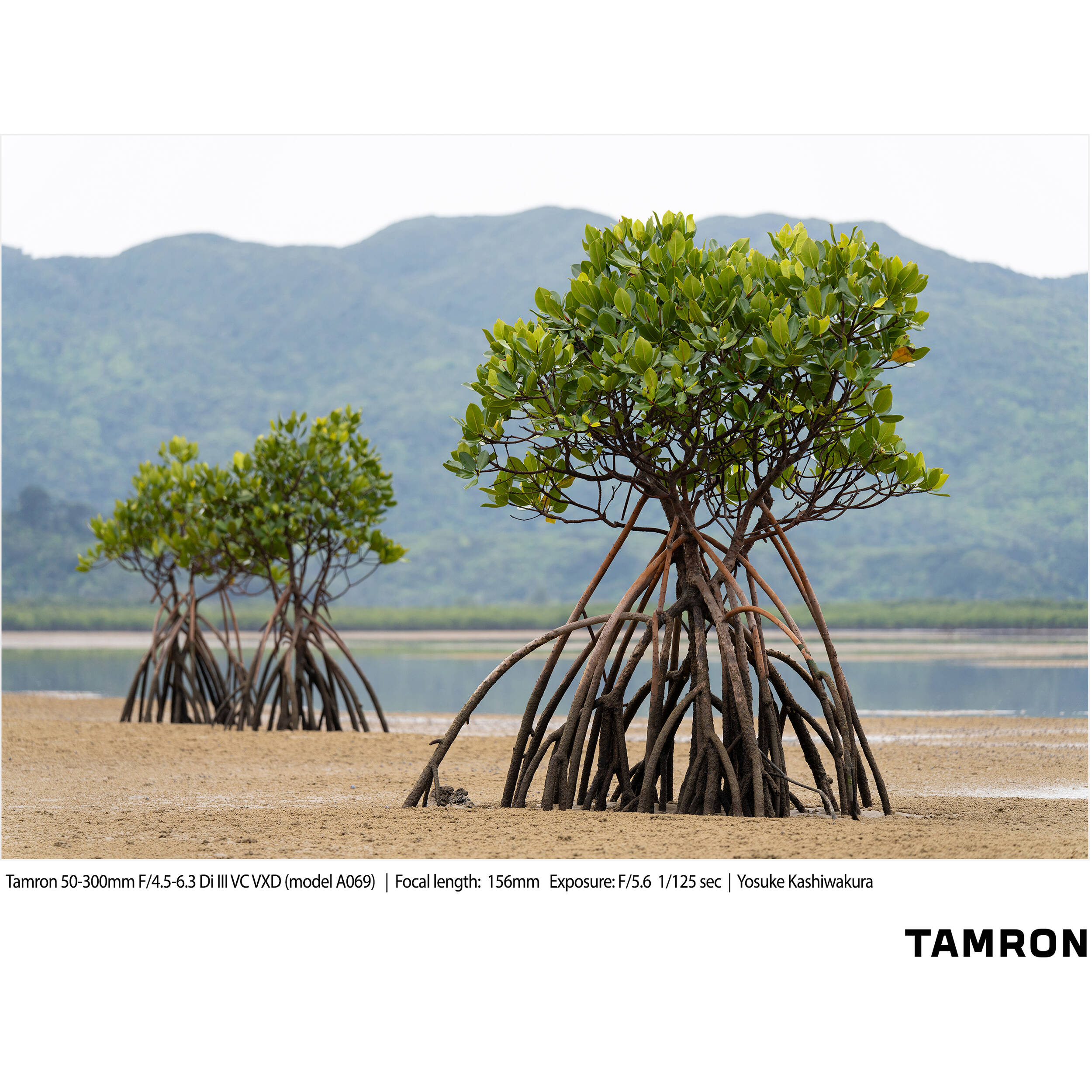 Tamron 50-300mm f/4.5-6.3 Di III VC VXD Objectif (Sony E)