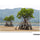 Tamron 50-300mm f/4.5-6.3 Di III VC VXD Objectif (Sony E)