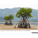 Tamron 50-300mm f/4.5-6.3 Di III VC VXD Objectif (Sony E)