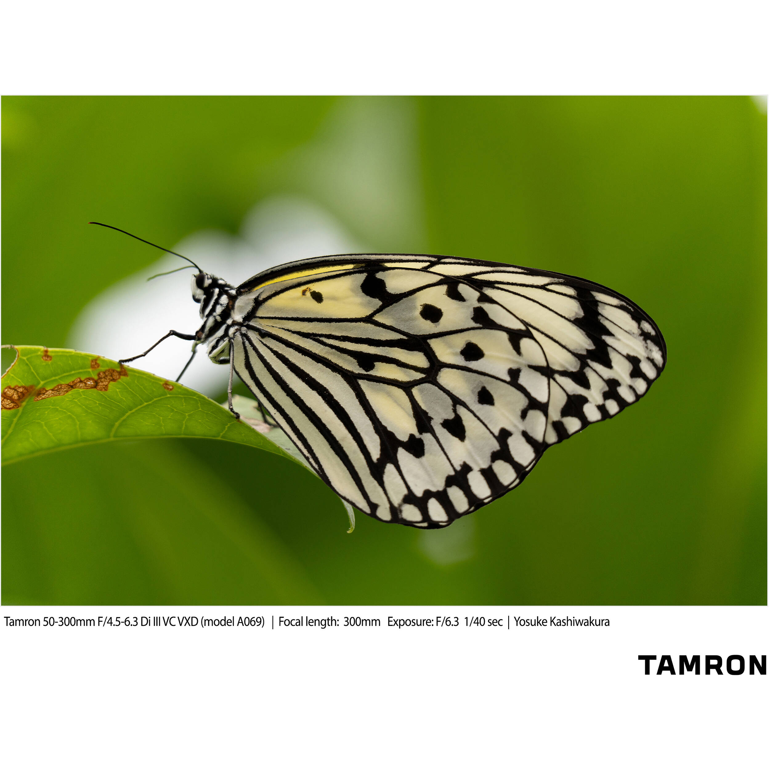 Tamron 50-300mm f/4.5-6.3 Di III VC VXD Objectif (Sony E)