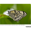 Tamron 50-300mm f/4.5-6.3 Di III VC VXD Objectif (Sony E)