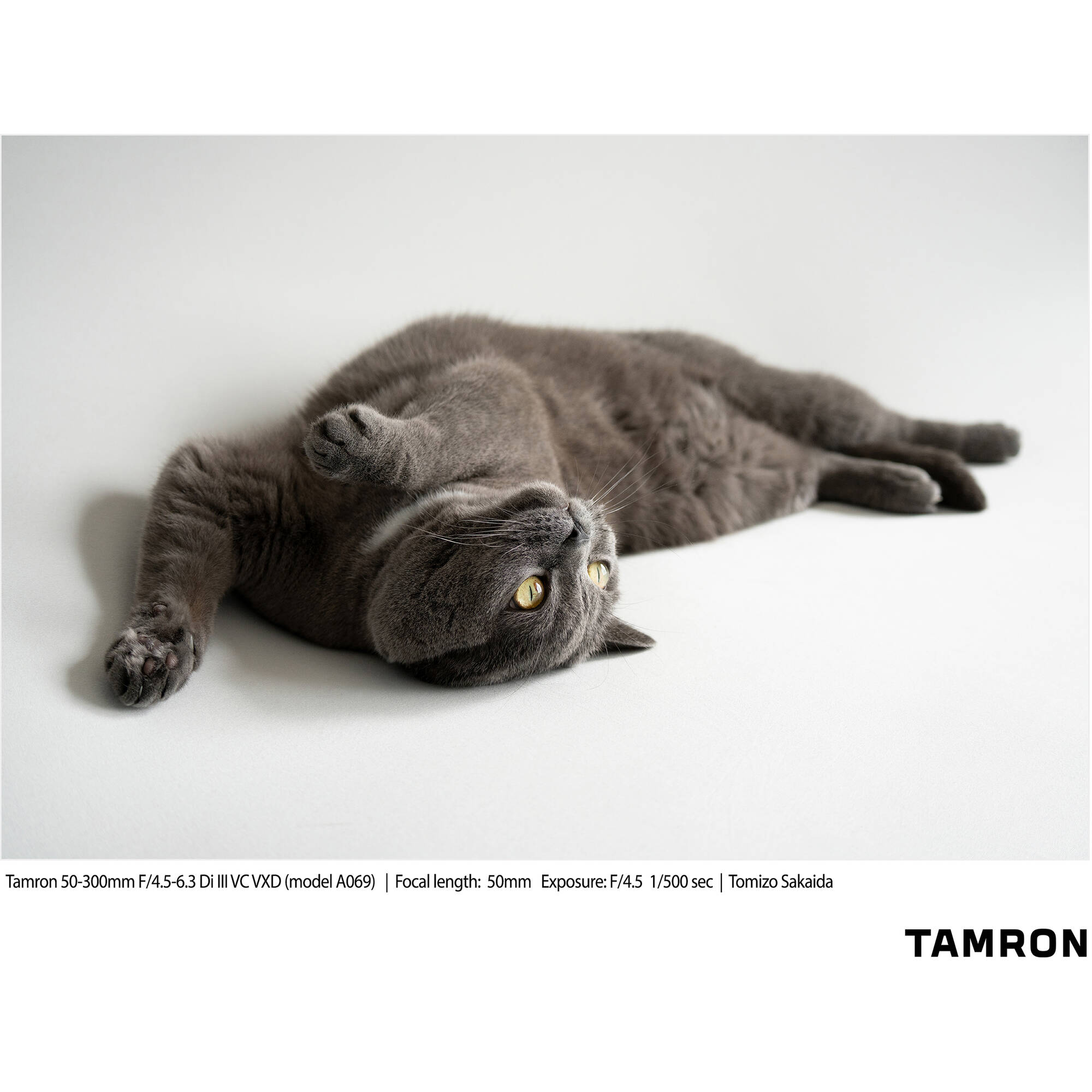 Tamron 50-300mm f/4.5-6.3 Di III VC VXD Objectif (Sony E)