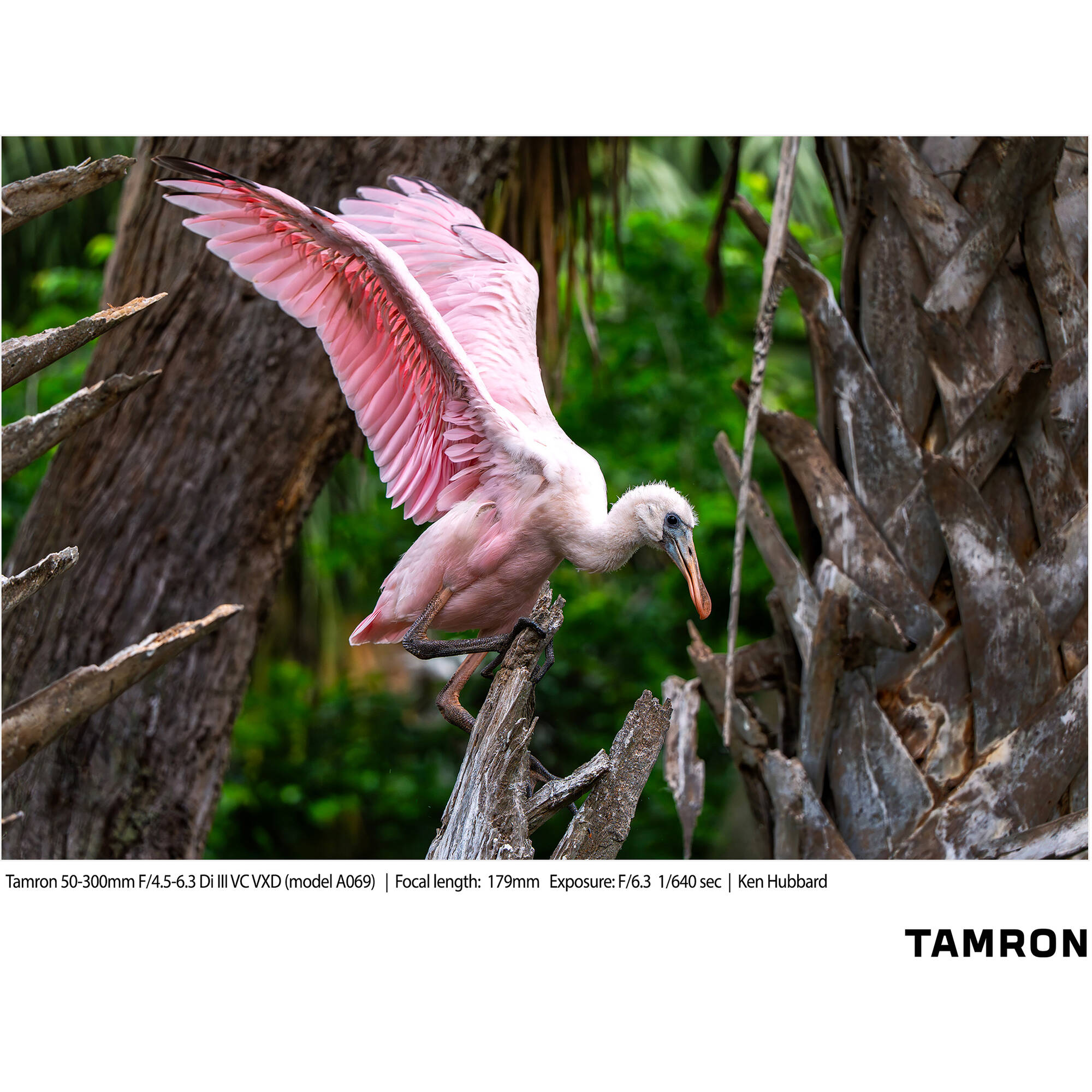 Tamron 50-300mm f/4.5-6.3 Di III VC VXD Objectif (Sony E)