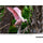 Tamron 50-300mm f/4.5-6.3 Di III VC VXD Objectif (Sony E)