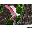 Tamron 50-300mm f/4.5-6.3 Di III VC VXD Objectif (Sony E)