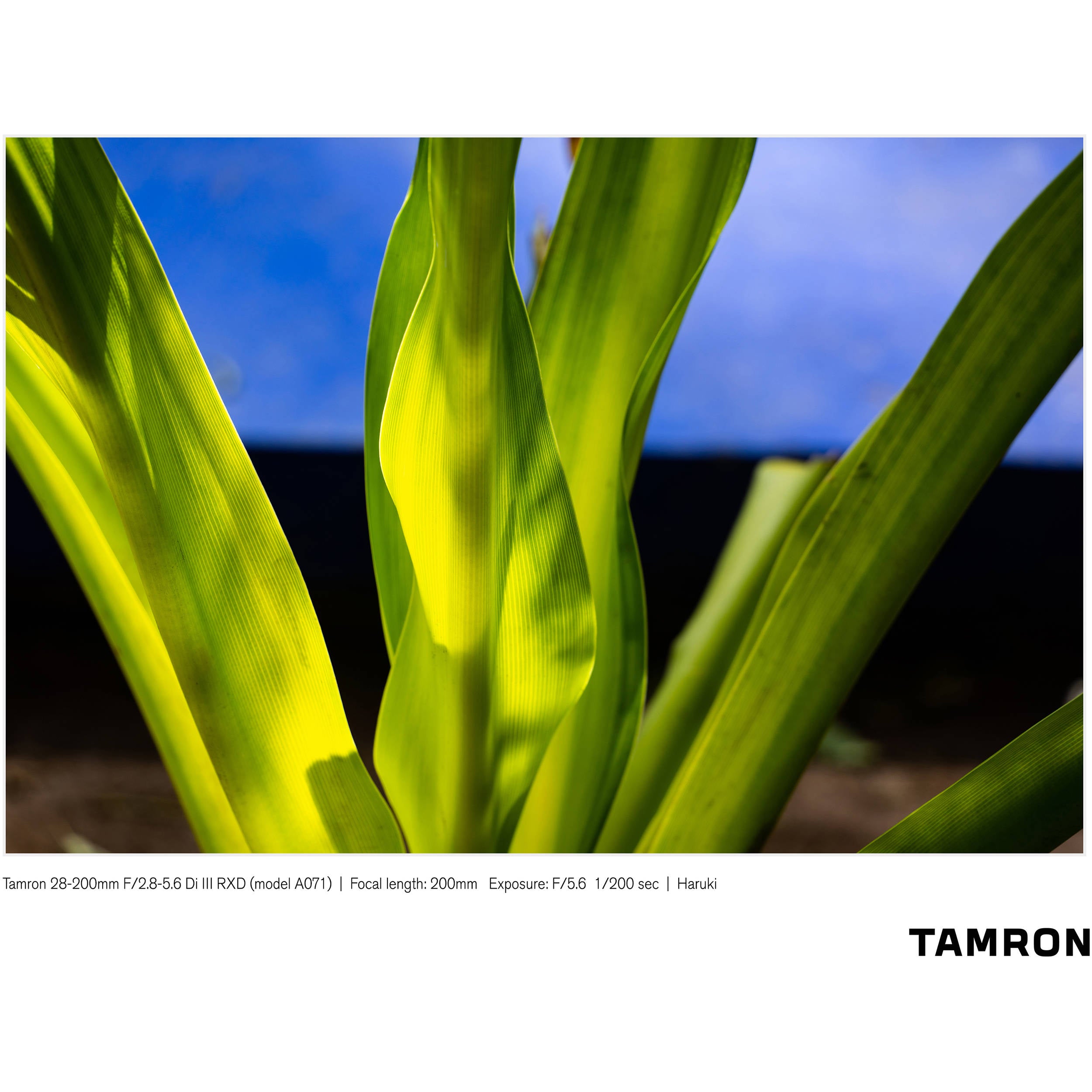 Tamron 28-200mm f/2.8-5.6 Di III RXD Objectif (Sony E)