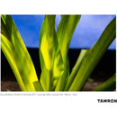 Tamron 28-200mm f/2.8-5.6 Di III RXD Objectif (Sony E)