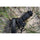 Tamron 18-300mm f/3.5-6.3 Di III-A VC VXD Objectif (Canon RF)