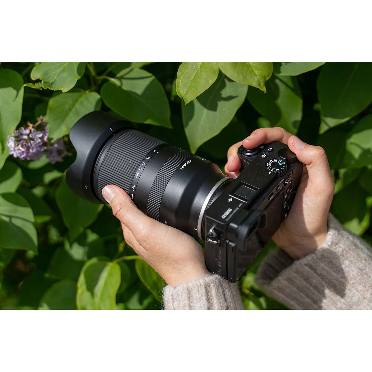 Tamron 18-300mm f/3.5-6.3 Di III-A VC VXD Lens (Canon RF)