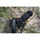Tamron 18-300mm f/3.5-6.3 Di III-A VC VXD Lens (Sony E)