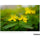 Tamron 24 mm f/2,8 Di III OSD M 1:2 Objectif (Sony E)