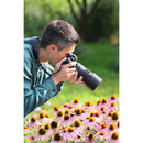 Tamron 90mm f/2.8 Di III VXD Macro Objectif (Sony E)