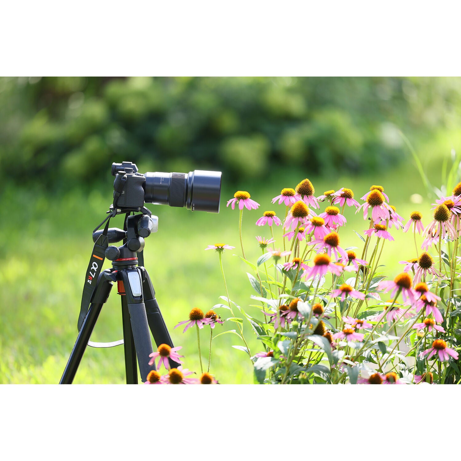 Tamron 90mm f/2.8 Di III VXD Macro Objectif (Sony E)