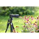Tamron 90mm f/2.8 Di III VXD Macro Objectif (Sony E)