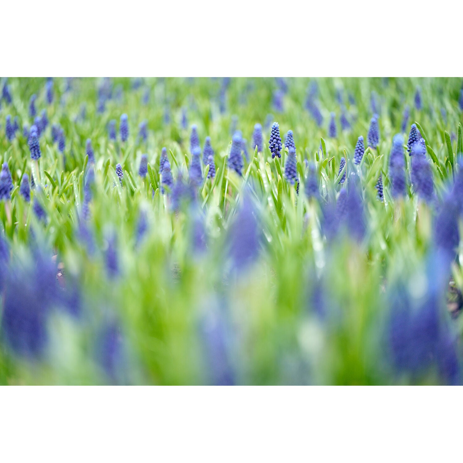 Tamron 90mm f/2.8 Di III VXD Macro Objectif (Sony E)