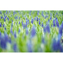 Tamron 90mm f/2.8 Di III VXD Macro Objectif (Sony E)