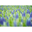 Tamron 90mm f/2.8 Di III VXD Macro Objectif (Sony E)