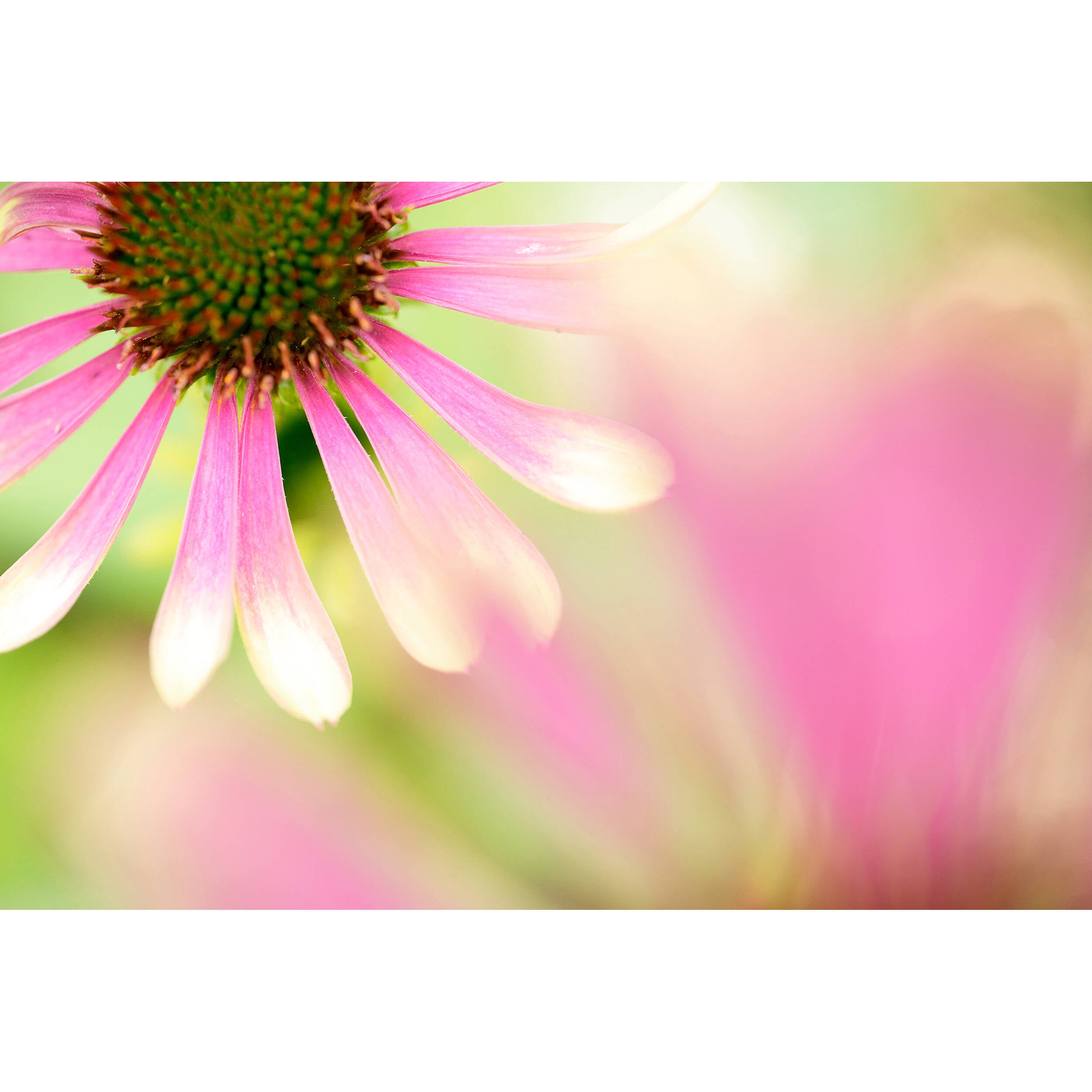Tamron 90mm f/2.8 Di III VXD Macro Objectif (Sony E)
