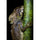 Tamron 90mm f/2.8 Di III VXD Macro Objectif (Sony E)