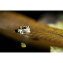 Tamron 90mm f/2.8 Di III VXD Macro Objectif (Sony E)
