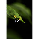 Tamron 90mm f/2.8 Di III VXD Macro Objectif (Sony E)