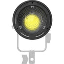 Aputure CF4 Fresnel pour Storm 80C