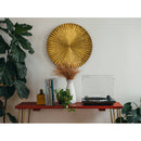 Audio-Technica Consumer AT-LP70X Fully Automatic Belt-Drive Turntable (Black and Bronze)