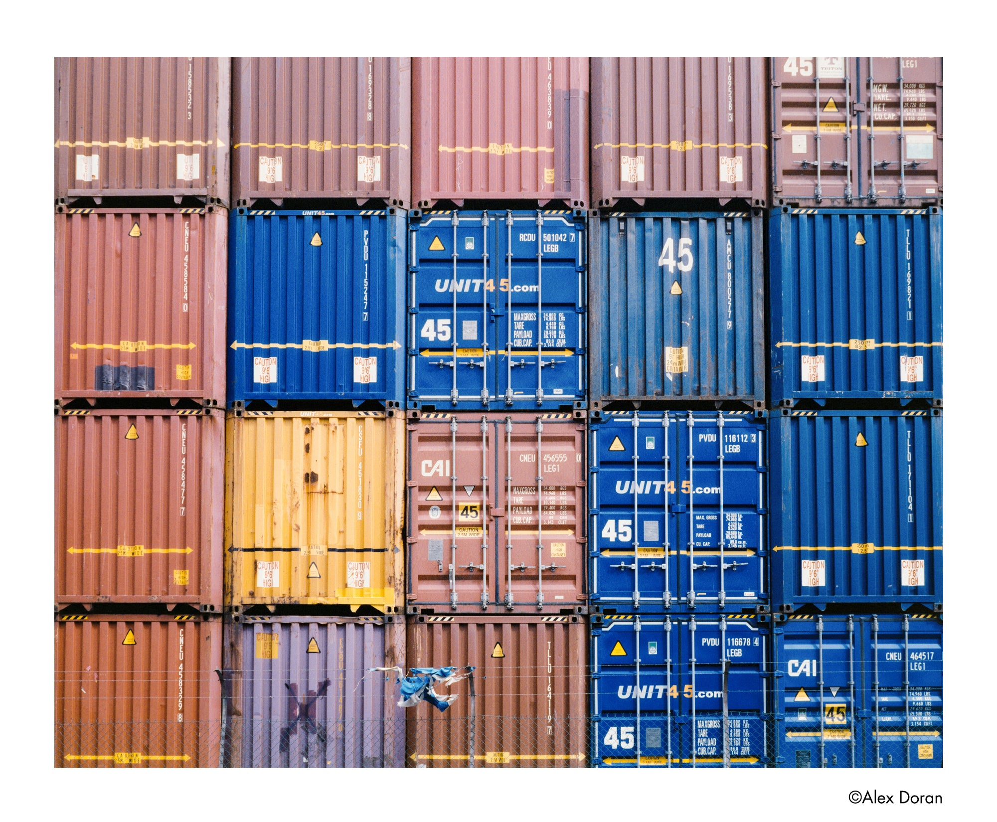 Harman Photo Phoenix II Film couleur (120 Roll Film)