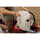Peak Design Outdoor Backpack 45L - Cloud