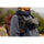 Peak Design Outdoor Sling 2L - Black