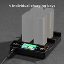 Accsoon TOPRIG 100W 4-BAY NP- F Charger rapide