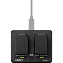 Sony BC-SAD1 Battery Charger