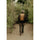 Peak Design Everyday Backpack v2 (Coyote, 30L)