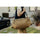 Peak Design Travel Duffel (Coyote, 50L)
