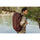 Peak Design Travel duffelpack 65L - Eclipse
