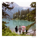 Harman Photo Phoenix II Film couleur (120 Roll Film)