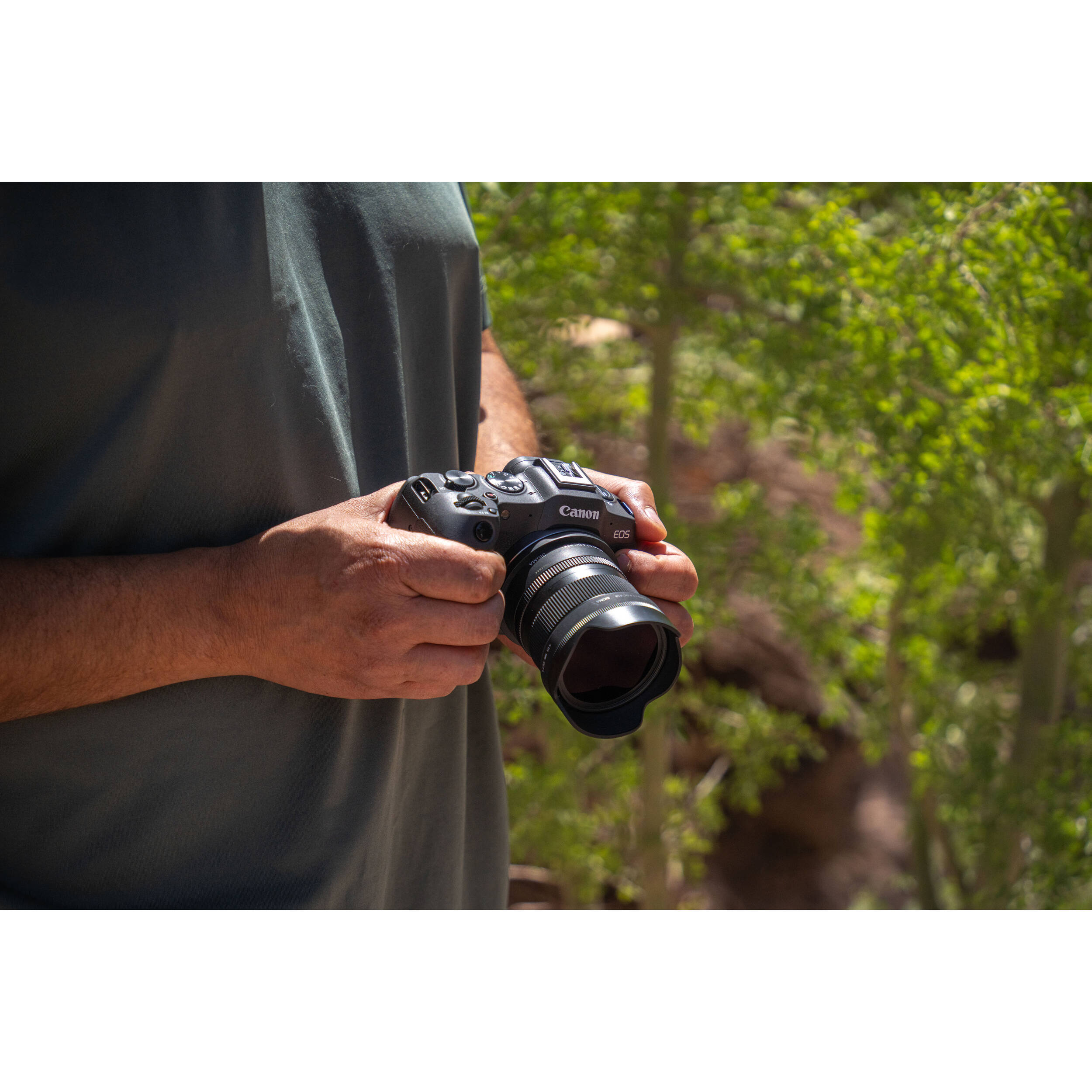 Sigma 15mm f/1.4 DC Contemporary Lens (Canon RF)