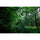Sigma 20-200mm f/3.5-6.3 DG Contemporary Lens (Sony E)