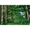 Sigma 20-200mm f/3.5-6.3 DG Contemporain Objectif (Sony E)